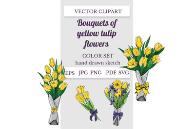 Hand drawn sketch of yellow tulip and purple iris flowers. Vector