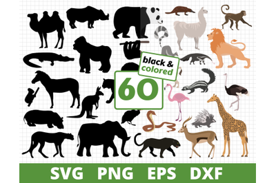 AFRICAN ANIMALS SVG BUNDLE COLORED &amp;amp; SILHOUETTE