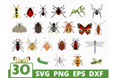 INSECTS SVG BUNDLE | Insects vector | Butterfly clipart | Insects