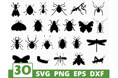 INSECTS SILHOUTEE SVG BUNDLE | Butterflies svg | Beatles cricut