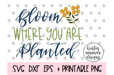 Bloom Where You Are Planted Spring Easter SVG DXF EPS PNG Cut File  Cr