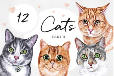 PART 2. Watercolor cat illustrations. Cute 12 cats. Kitty. Meow