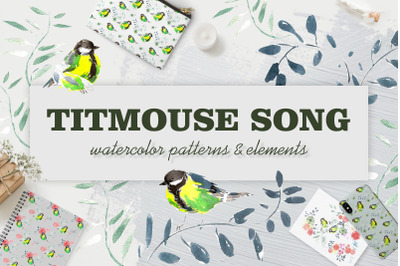 Titmouse song