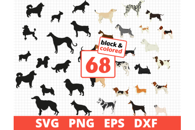 DOG BREEDS SVG BUNDLE | COLORED, SILHOUETTE &amp; SKETCH