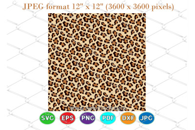 Cheetah print Svg Cut Files - Leopard print SVG- Leopard Print SVG