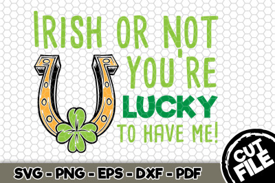 Irish Or Not You&#039;re Lucky To Have Me! SVG Cut File n164
