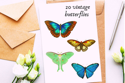 Vintage Butterflies llustrations&2C; Retro Butterfly Clipart