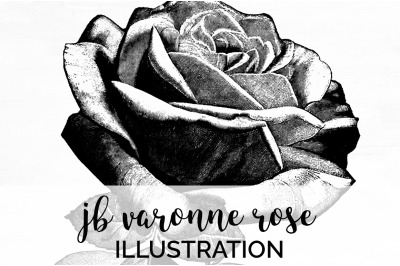 Rose Black and White Clipart