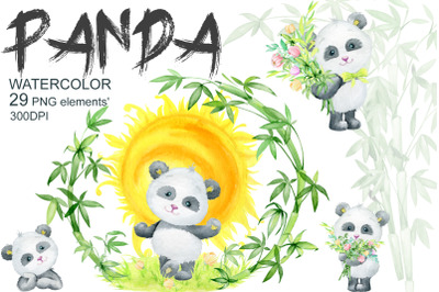 Panda. Little animals watercolor clipart, watercolor, bear panda cub,