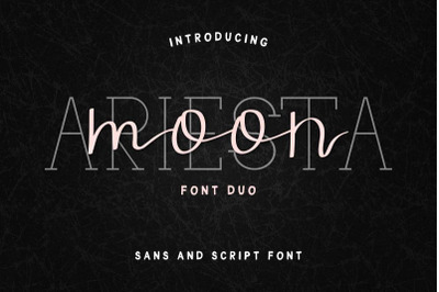 Wild One Handwritten Print Script Font Duo By Ka Designs Thehungryjpeg Com