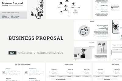 Business Proposal Keynote Template