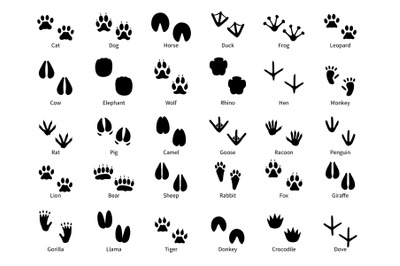 Animal footprints. Walking track animals paw with name&2C; pets tracks&2C; b