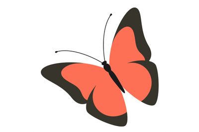 Butterfly logo. Modern art colorful fashion abstract wings for corpora