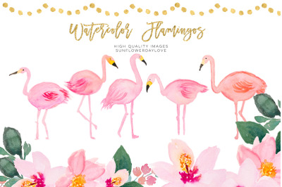 Tropical Watercolor Clipart, Pink Tropical Clipart, Flamingo