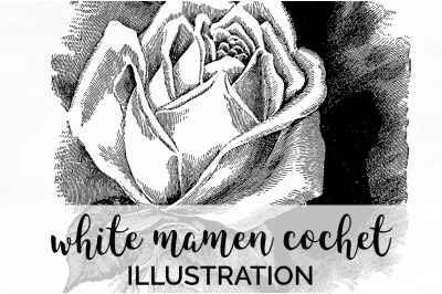 Rose Black and White Clipart