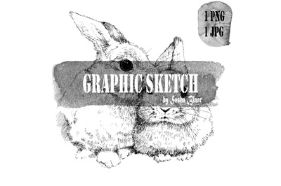 Graphic sketch 2 rabbit