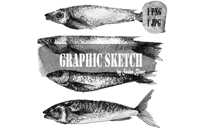 Graphic sketch 4 fish