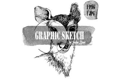 Graphic sketch cirkle fawn