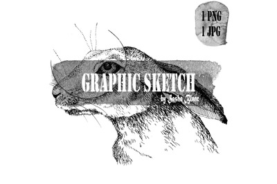 Graphic sketch cirkle hare