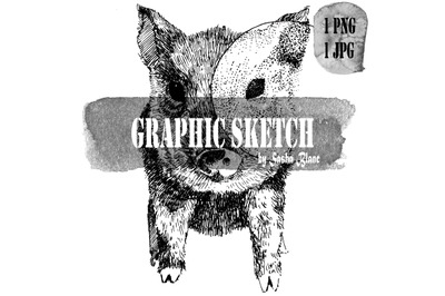 Graphic sketch cirkle pig