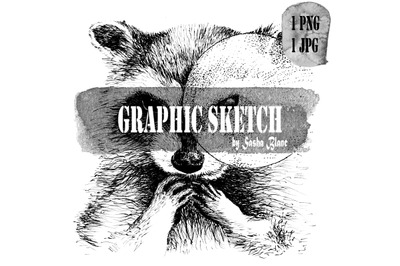 Graphic sketch cirkle raccoon