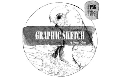 Graphic sketch 2 bird