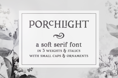 Porchlight trendy serif font