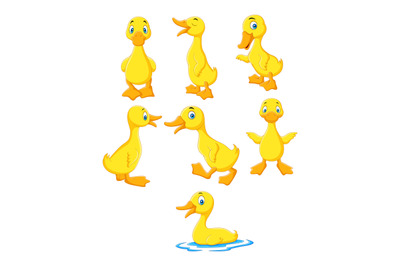 Cartoon baby duck collection set