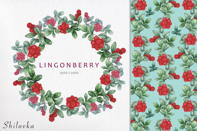 Lingonberry 2. Watercolor patterns