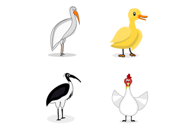 Set of birds character vector