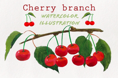 Cherry branch