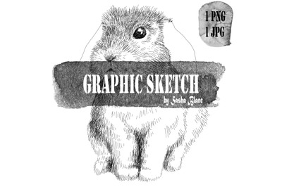 Graphic sketch rabbit