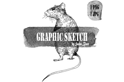 Graphic sketch rat 2