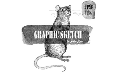 Graphic sketch rat 3
