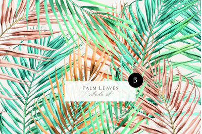 Watercolor palm leaves clipart PNG. tropical wedding, summer clipart