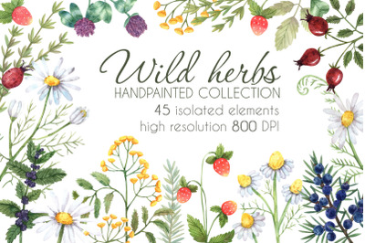 Wild Herbs