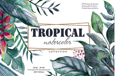 Tropical watercolor collection