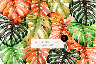 Watercolor palm leaves clipart PNG. tropical wedding, summer clipart,