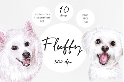 Watercolor set white fluffy&nbsp;dog illustrations. 10 Dogs
