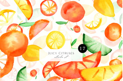 Watercolor Citrus Fruits Clipart PNG Orange, Lemon, Lime, wedding