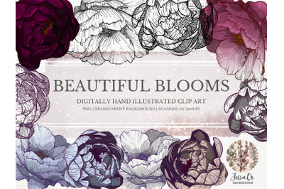 Beautiful Blooms Clipart Set
