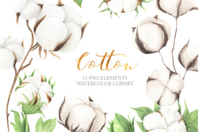 Watercolor Cotton Clipart