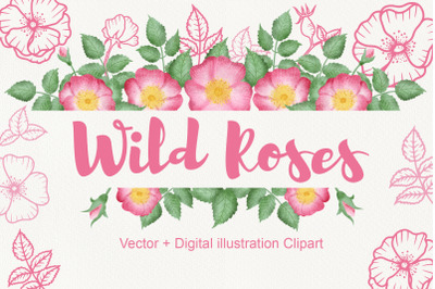 Wild Rose Clipart Rose Hip