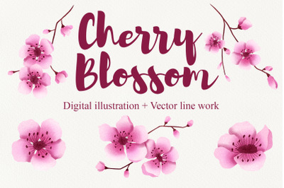 Cherry Blossom Clipart