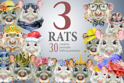 Watercolor rats