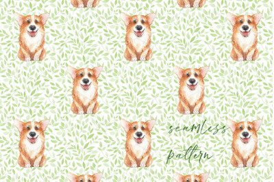 Corgi. Seamless pattern