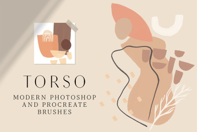 TORSO - Photoshop &amp; Procreate Stamps