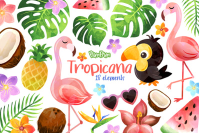 Tropical Watercolor Cliparts