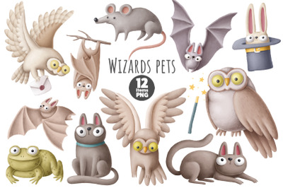 Wizards pets