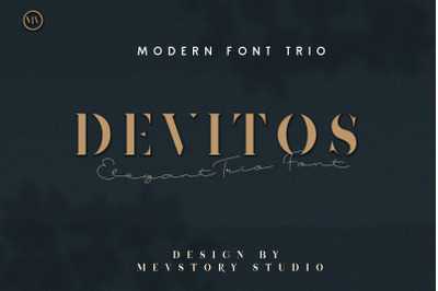 Devitos Modern &amp; Elegant Serif Font